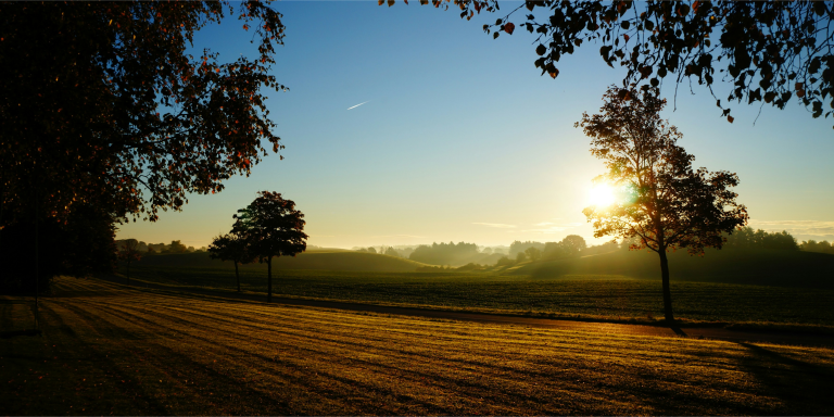 A field during sunset